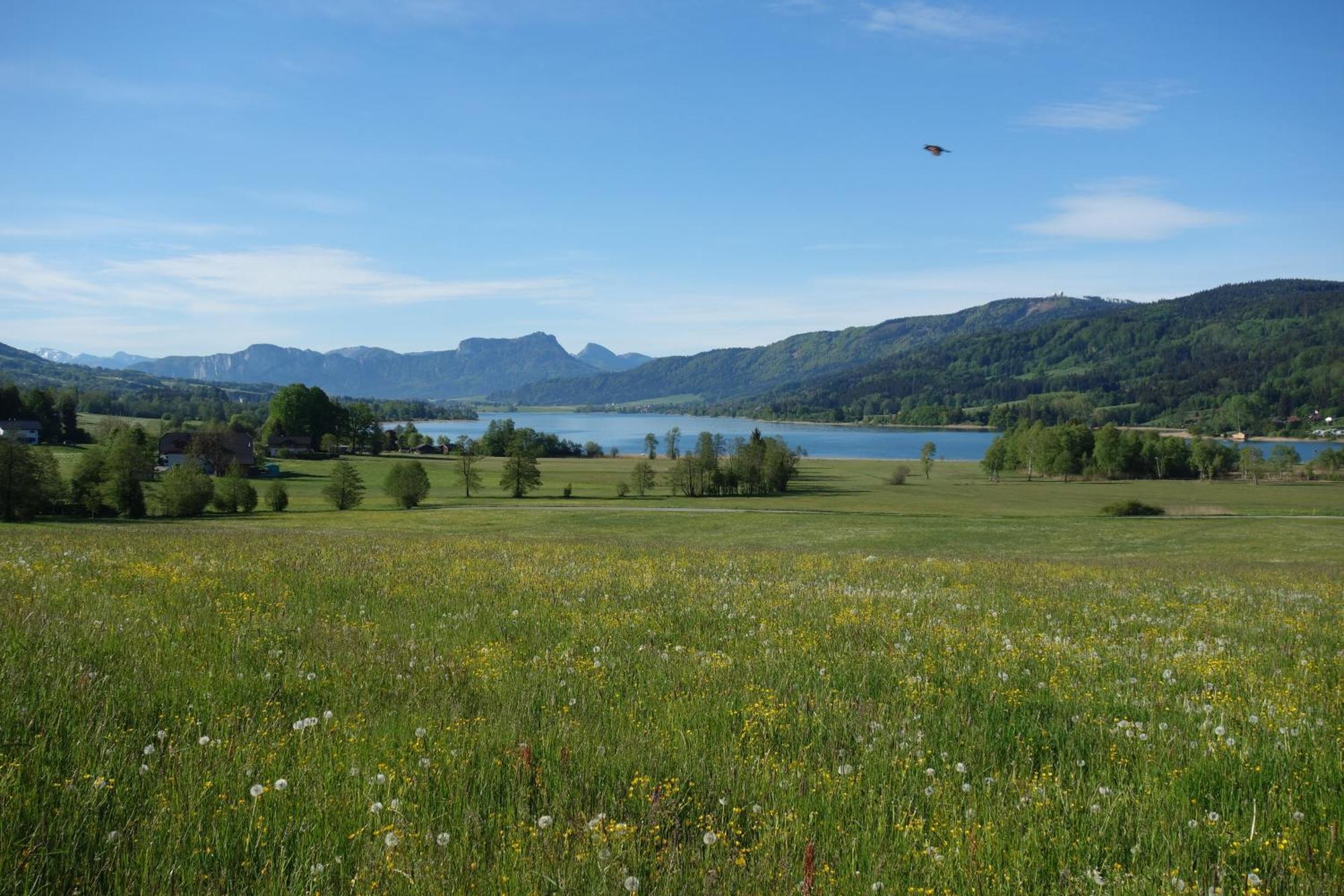 Sunnhof Villa Oberhofen am Irrsee ภายนอก รูปภาพ